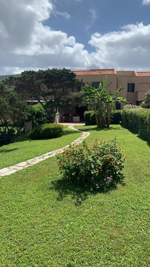 Pelosa - Capo Falcone Excellent Apartment Stintino Eksteriør billede